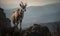 Photo of markhor Capra falconeri perched on a rocky outcrop overlooking a sprawling mountain range. images highlighs the markhors