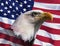 Photo montage: American bald eagle and American flag