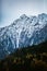 a photo of the mountain in autumn time with trees and snow