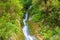 Photo of narrow waterfall among trees