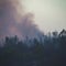 Photo Natures fury Forest fire aftermath, burned trees with smoky sky