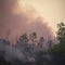 Photo Natures fury Forest fire aftermath, burned trees with smoky sky