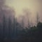 Photo Natures fury Forest fire aftermath, burned trees with smoky sky