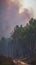 Photo Natures fury Forest fire aftermath, burned trees with smoky sky