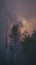 Photo Natures fury Forest fire aftermath, burned trees with smoky sky