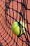 Photo of new tennis ball struck in net