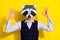 Photo of nice office employee guy show okey signs wear raccoon mask vest isolated yellow color background