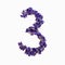 Photo No. 3 of purple flowers on a white background. Typographic design element. Part of the flower alphabet. Numeral 3