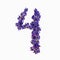Photo No. 4 of purple flowers on a white background. Typographic design element. Part of the flower alphabet. Numeral 4