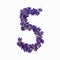 Photo No. 5 of purple flowers on a white background. Typographic design element. Part of the flower alphabet. Numeral 5
