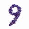 Photo No. 9 of purple flowers on a white background. Typographic design element. Part of the flower alphabet. Numeral 9