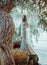 photo with noise. Fantasy woman queen goddess stands on tree branch above river. Vintage wedding Medieval long gray