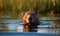 photo of nutria in water. Generative AI