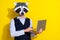 Photo of office employer guy prepare pc project texting wear raccoon mask vest isolated yellow color background