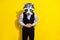 Photo of office worker in pain touch rumbling stomach wear raccoon mask vest isolated yellow color background