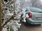 A photo of an old Citroen Picasso but with the snowy tree branch in focus