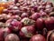 photo onion commonly used for products