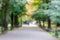 Photo out of focus sunny park in Europe.Road through the green area with many trees