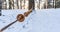 Photo of Outdoor Playground Elements in Forest in Sunny Winter, Abstract Background with Selective Focus