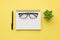 Photo overhead of notebook spectacles plant and black pen isolated on the yellow background