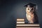 Photo of a Owl in graduation cap on books. Symbol of wisdom education and knowledge. ai generative