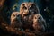 Photo of an Owl and owlets in macro photography