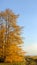 The photo is a panorama of 7900 by 4560 pixels. Autumn scenes. Y