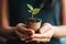 Photo of a person holding a small potted plant against a blurred green background