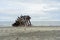 A photo of the pesuta shipwreck, a wooden shipwreck lying on a sandy beach, in Naikoon Provincial Park, Haida Gwaii, British Colum