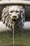 Photo Picture Image of marble water fountain faucet lion