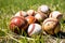 Photo of a pile of baseballs on a vibrant green field