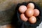 Photo of a pile of chicken eggs in a chicken farm