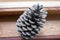 Photo pine cone closeup brown