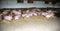 Photo of pink colored pregrant sows from above at animal farm rural scene indoors