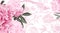 Photo pink flowers peonies and graphic pattern with flowers and bird