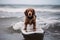 Photo portrait of a happy dog dressed like a surfer, concept of Canine fashion, created with Generative AI technology