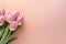 Photo pretty tulips on pastel background with copy space at the bottom