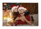 Photo printed on canvas. Happy young couple in Santa hats celebrating Christmas at home