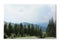 Photo printed on canvas, white background. Beautiful landscape with forest and mountain slopes