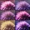 Photo processing, motley collage with asters