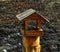 Photo project. Birds of Eastern Siberia. Common Dubonos (lat. Coccothraustes coccothraustes)