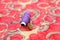 Photo of purple sewing thread, needle and button