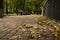 Photo of quiet place alley in the autumn park in Kiev. Relax mood, silence, no people around, only colorful golden leaves. Clean