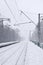 Photo of the railway station in the suburbs or the countryside. The railroad runs between dense rows of trees. Snow-covered platf