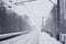 Photo of the railway station in the suburbs or the countryside. The railroad runs between dense rows of trees. Snow-covered platf