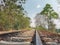 Photo of railway tracks in forest