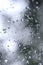 A photo of rain drops on the window glass with a blurred view of the blossoming green trees. Abstract image showing cloudy and ra