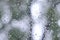 A photo of rain drops on the window glass with a blurred view of the blossoming green trees. Abstract image showing cloudy and ra