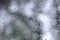 A photo of rain drops on the window glass with a blurred view of the blossoming green trees. Abstract image showing cloudy and ra