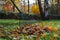 Photo raking leaves with fan rake from the lawn